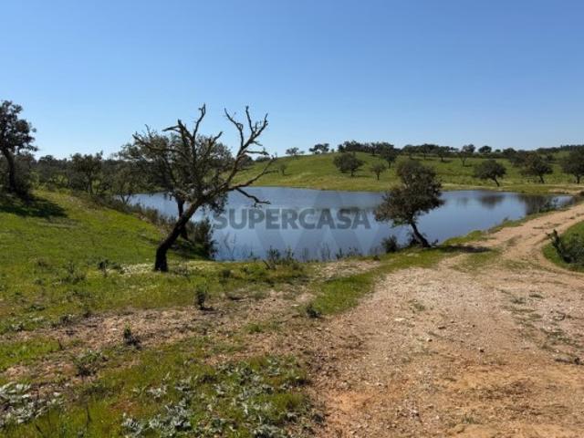 Terreno de 50ha em Santiago do Cacém