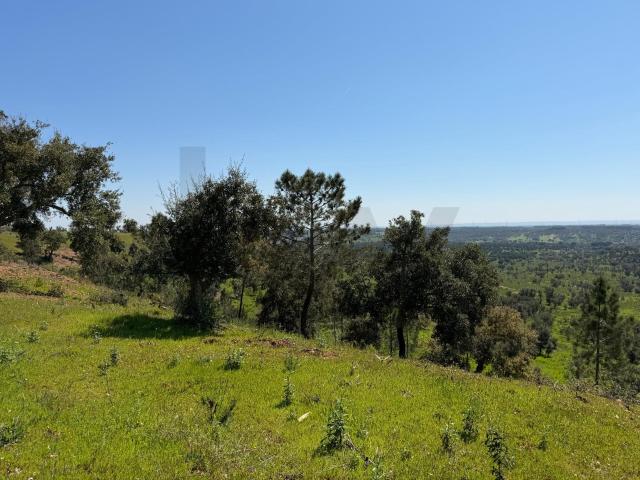 Terreno de 50ha em Santiago do Cacém