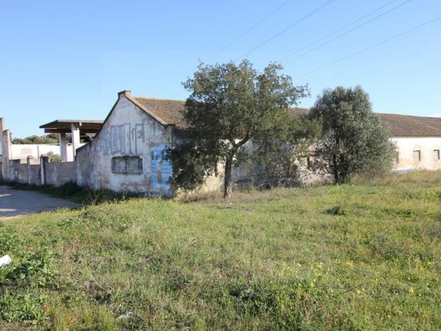 Terreno de 5120 m2 Palmela, Setúbal