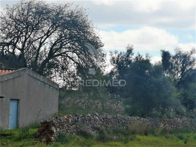 Terreno de 5240 m2, que contém também uma parte urbana com 80 m2