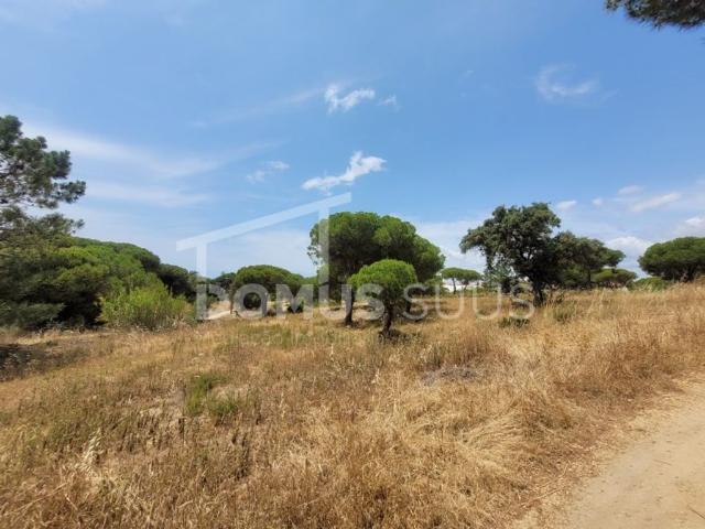 Terreno de 5320 m2 Gambelas, Faro