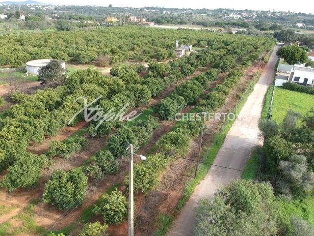 Terreno de 537 m2 à venda Fonte Santa, Loulé, Faro