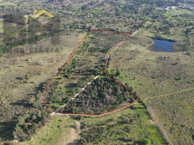 Terreno de 5,3 Hectares na Aldeia de Águas Penamacor