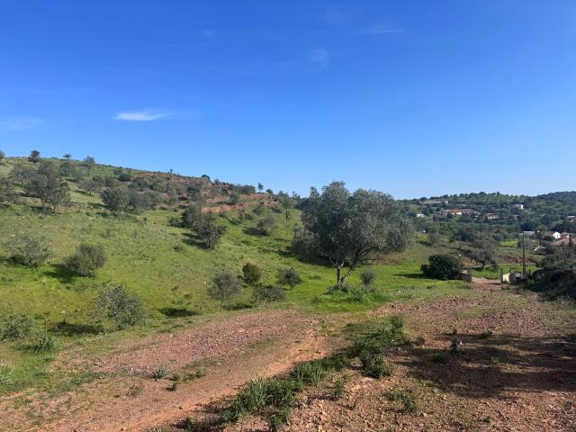 Terreno de 5,1 ha com Potencial de Expansão Urbana Perto de Tavira
