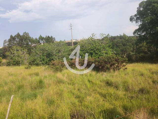 Terreno Urbano para construção!