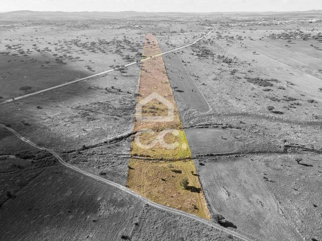 Terreno de 5,4 ha c/ Viabilidade de Construção | Capelins, Alandroal
