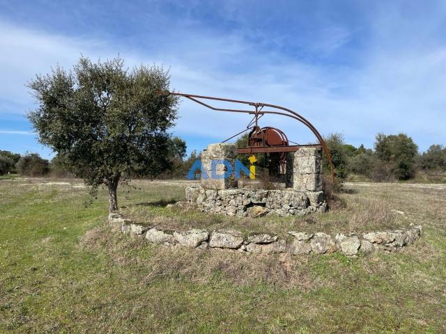 Terreno de 5,55 ha com poço e construção rural para venda