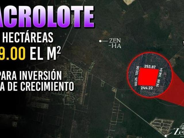 Terreno de 5.77 hectáreas en Conkal Yucatán Nolo Ideal para rancho o desarrollo