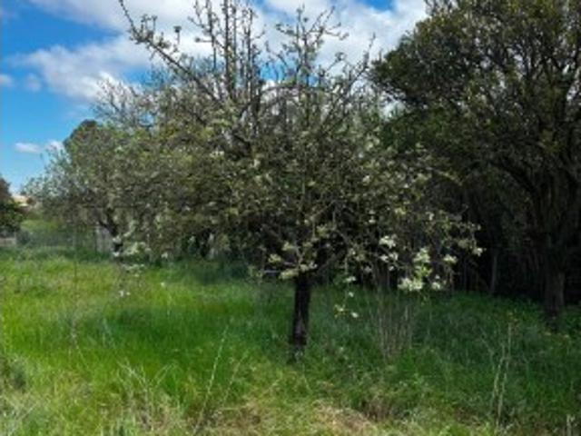 Terreno de 5.880m² em Malha Urbana | PIP em Processo de Aprovação