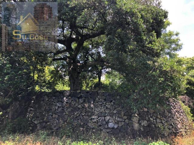 Terreno de 5 hect?reas en Tepoztl?n Zona Pueblo
