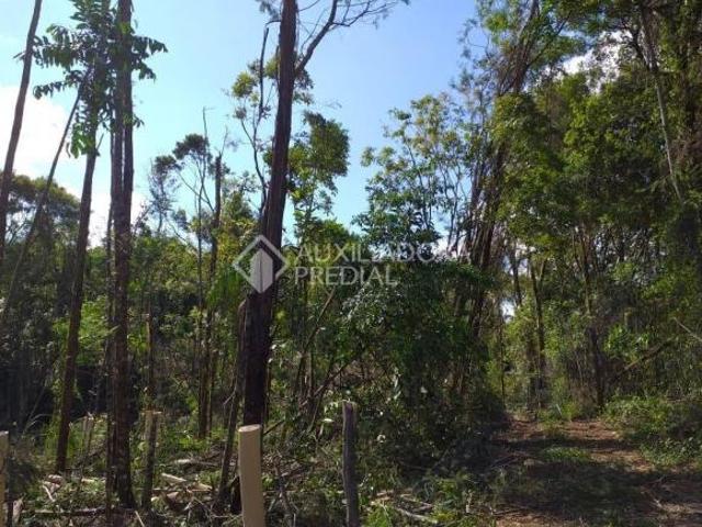 TERRENO DE 5 HECTARES EM GRAMADO