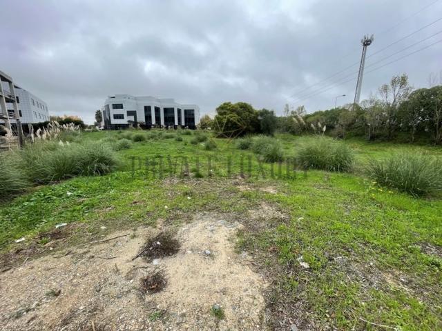 Terreno de 6645 m2 Beloura Sao Pedro Penaferrim, Sintra, Lisboa