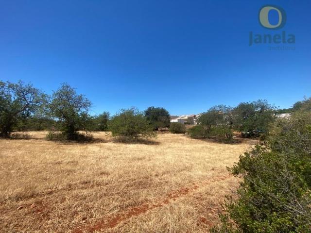 Terreno de 6700 m2 à venda Almancil, Loulé, Algarve, Faro