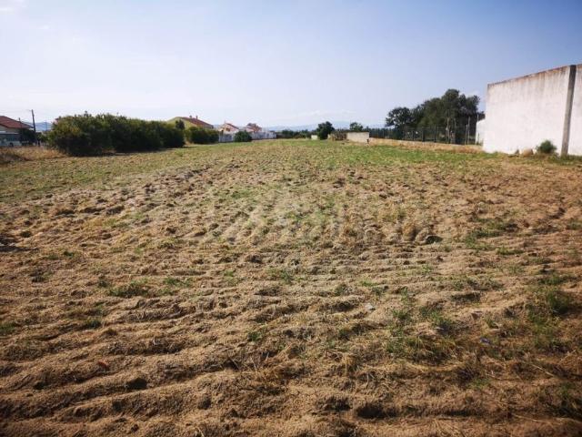 Terreno de 6851 m2 à venda Benavente, Portugal