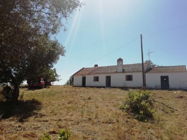 Terreno de 6000 m2 à venda Santiago do Cacém, Setúbal
