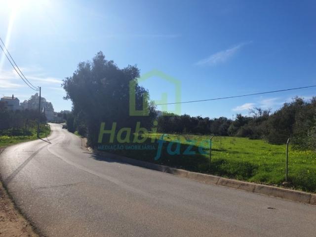 Terreno de 6000 m2 à venda Torre, Silves, Faro