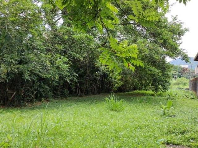 Terreno de 600 m² com escritura definitiva !