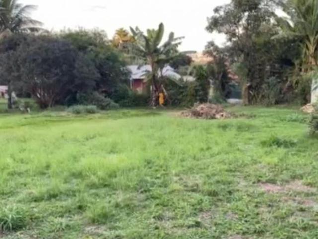 Terreno de 600 m² em Arniqueiras à venda