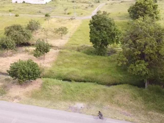 Terreno de 607 m² en venta en Tenextepango