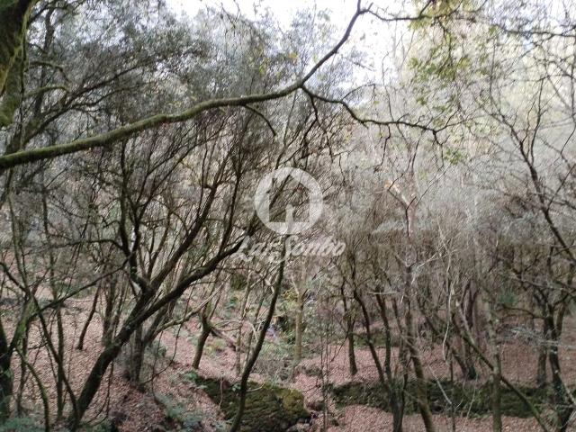 Terreno de 6140m² no Parque Natural do Gerês