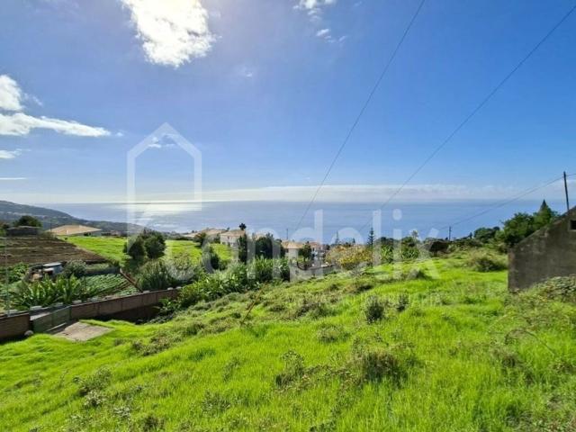 Terreno de 6172 m2 Calheta, Portugal
