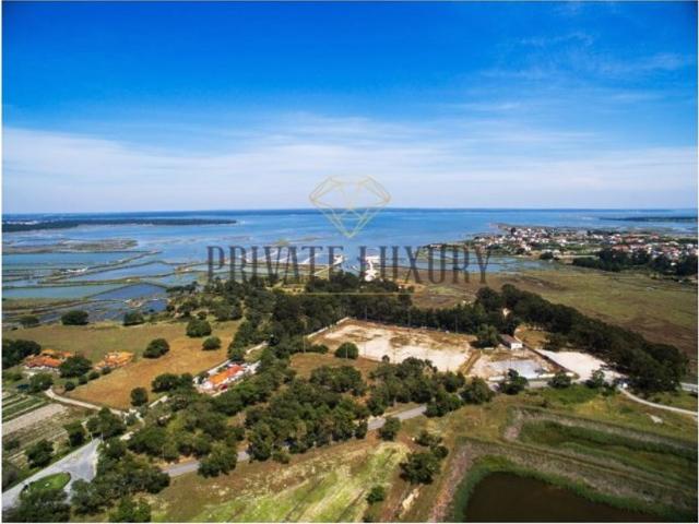 Terreno de 620620000 m2 à venda Mourisca, Setúbal