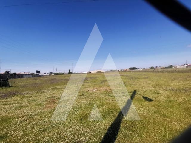Terreno de 6284 m2 Esgueira, Aveiro
