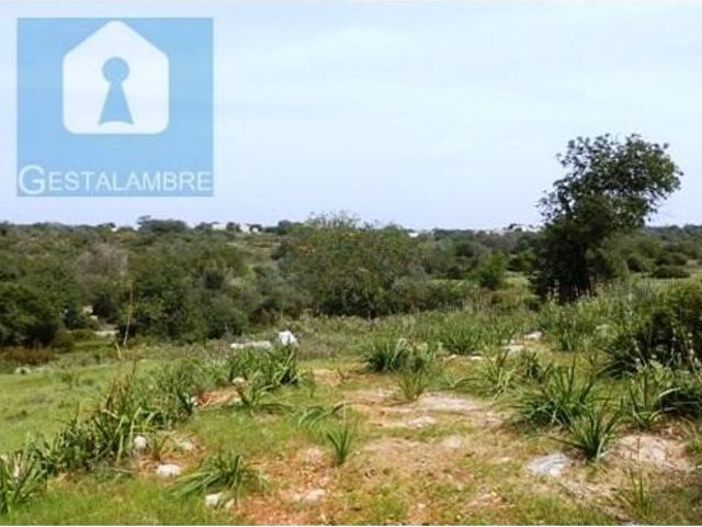 Terreno de 62 m2 Tavagueira, Albufeira, Faro
