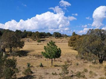 Terreno De 6.7 Hectareas En Venta, Sanctorum, Tlaxcala