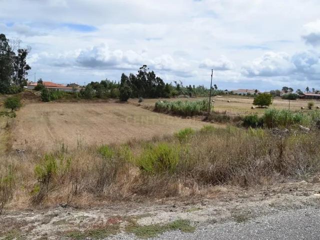 Terreno de 6 480m2 localizado na Carapinheira, Montemor o Velho