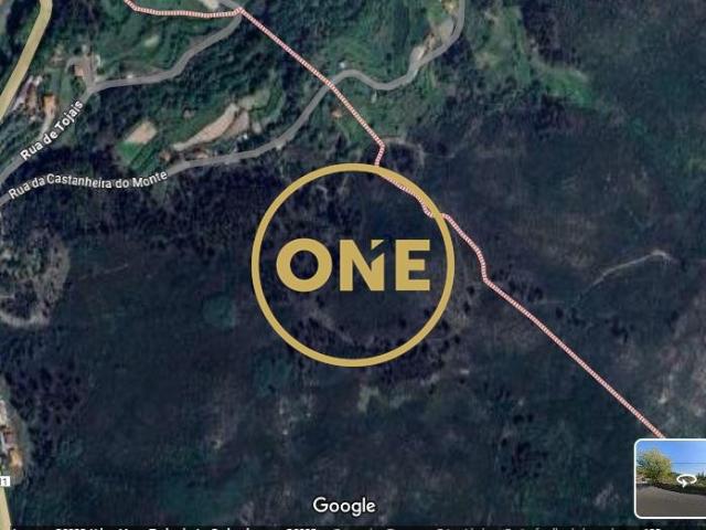 Terreno de 6.850m² em Santa Leocádia, Baião – Vistas Panorâmicas e Natureza em Estado Puro