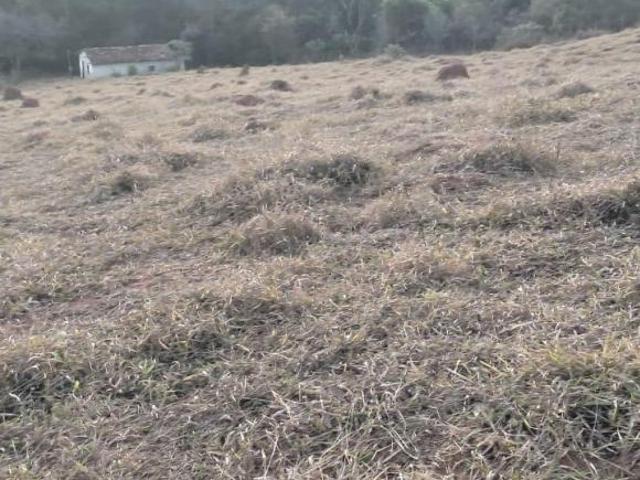 TERRENO DE 6 HECTARES C/ CASA VELHA DE TIJOLINHO, LUZ LIGADA E ÁGUA NOS FUNDOS À VENDA EM PIRACEMA/M
