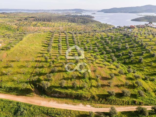 Terreno de 7500m2 c/ poço | Alqueva