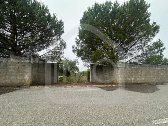 Terreno de 7618 m2 à venda Pombal, Leiria