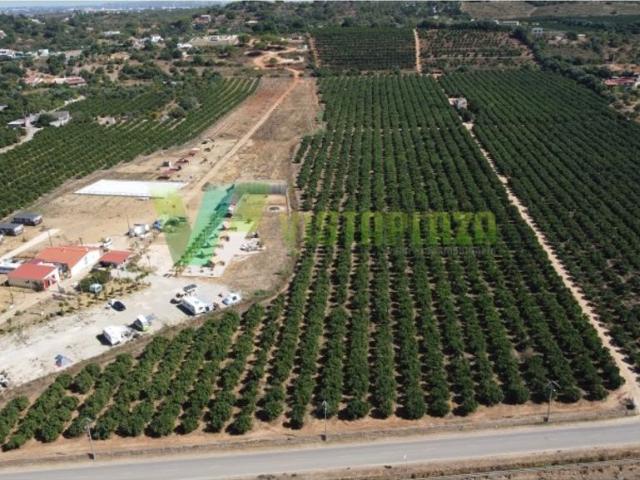 Terreno de 77000 m2 à venda Sobral, Lagoa, Faro