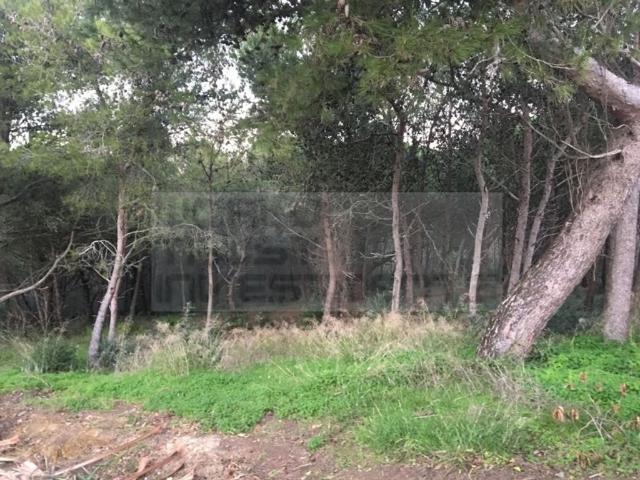 Terreno de 776 m2 à venda Charneca Cascais, Cascais, Lisboa