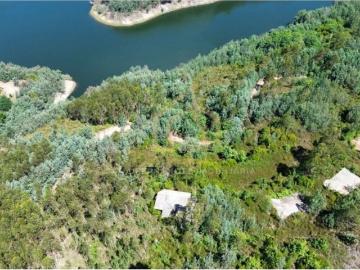 Terreno de 79800 m2 à venda Arganil, Portugal