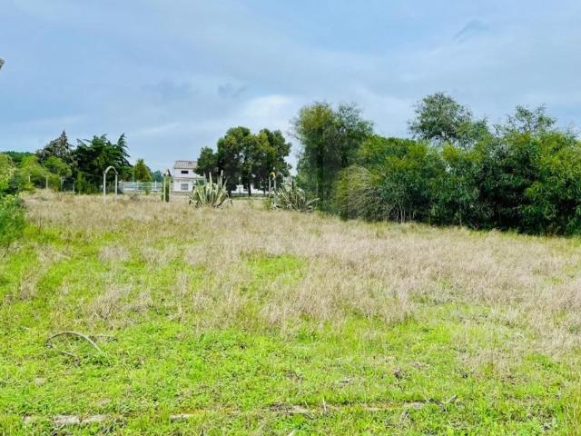 Terreno de 7045 m2 Seixal, Setúbal
