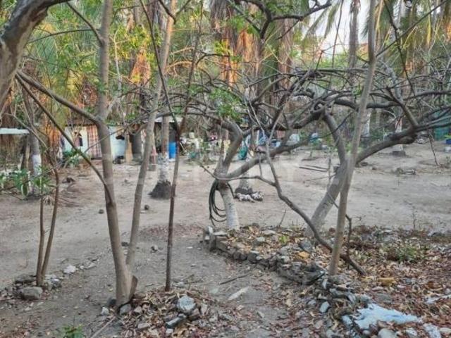 Terreno de 706 metros, ubicado en Pitillal Centro