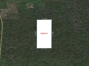 Terreno de 70,000 m2 por San Antonio Sac Chich Seyé Yucatán