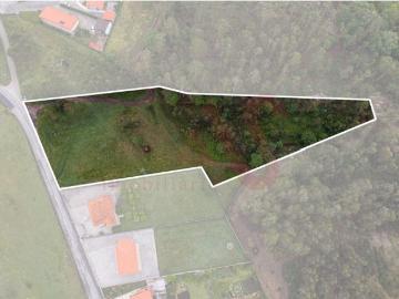 Terreno de 7153 m2 com Potencial de Construção em Monte Córdova Santo Tirso