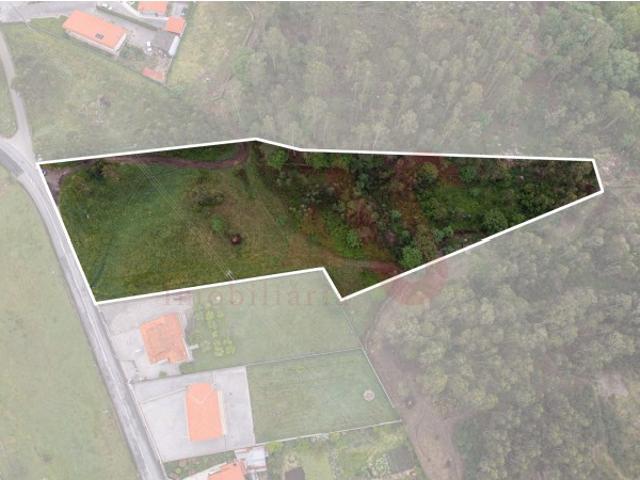 Terreno de 7153 m2 com Potencial de Construção em Monte Córdova Santo Tirso