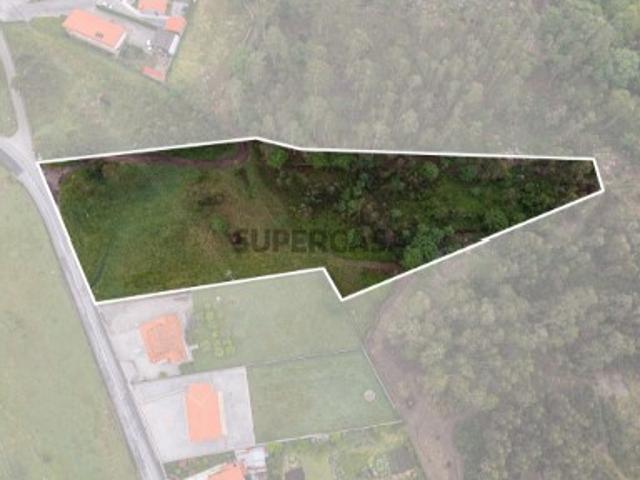 Terreno de 7153 m2 com Potencial de Construção em Monte Córdova Santo Tirso