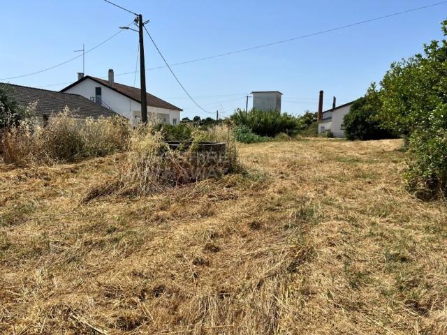 Terreno de 7188 m2 à venda Santarém