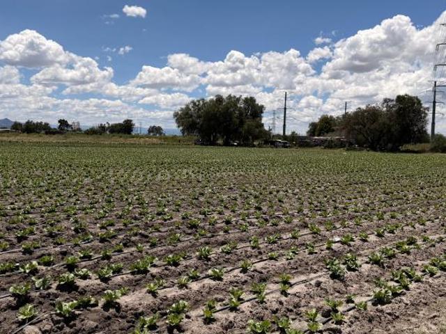 Terreno de 7,000 m² en Tecámac | Propiedad privada | Acceso a México–Pachuca