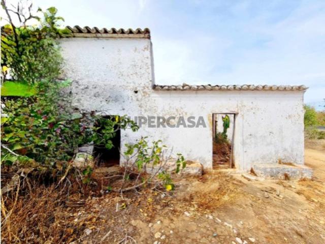 Terreno de 7.000m2 com ruína em Pechão