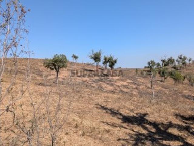 Terreno de 7,5 Hectares em Santiago do Cacém Uma Oportunidade Única no Alentejo Litoral