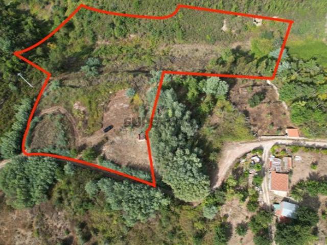 Terreno de 7,800m2 no sopé da Serra do Açor | Vista Panorâmica | Portela da Cerdeira Arganil