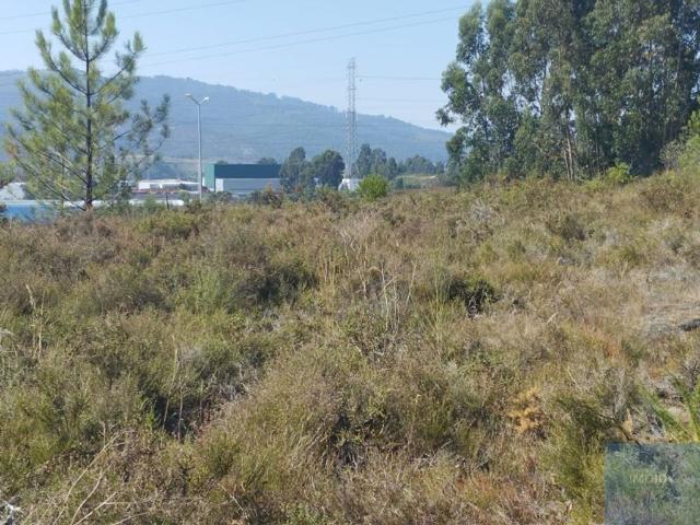 Terreno de 8400 m2 Valongo, Porto