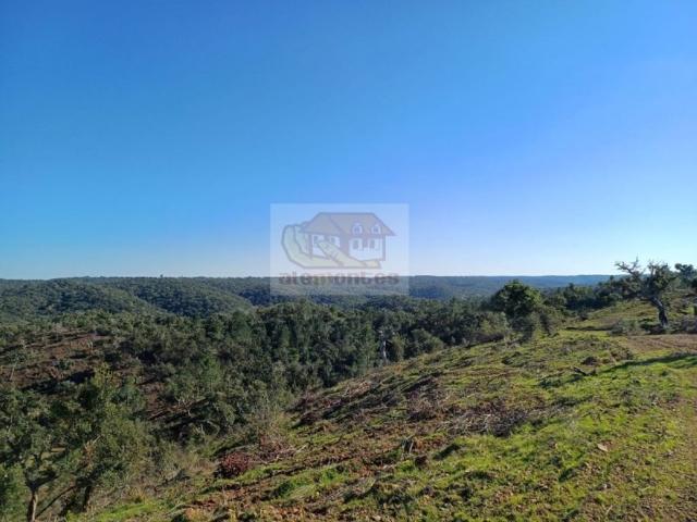 Terreno de 8790 m2 à venda Grândola, Setúbal